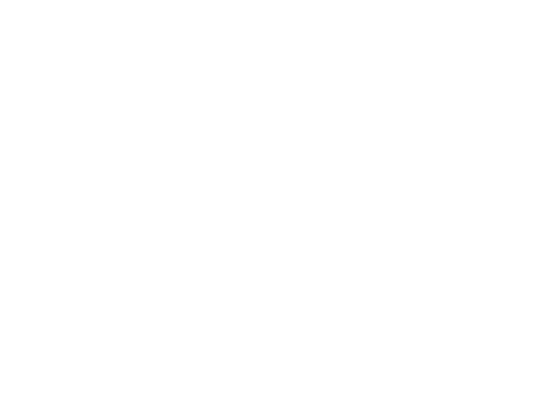 logo camporsevoli